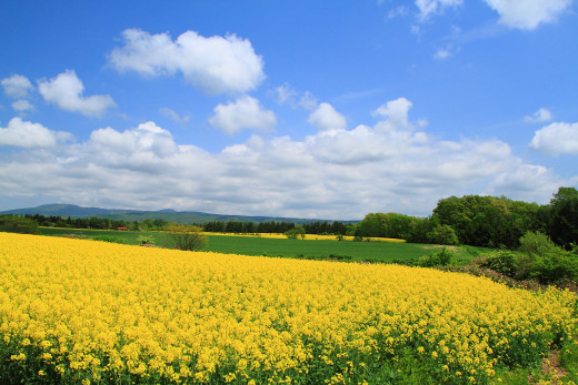 638020 (a): :1920x1280